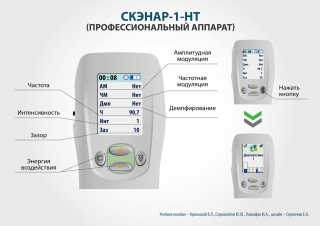 СКЭНАР-1-НТ (исполнение 01)  в Берёзовском купить Медицинская техника - denasosteo.ru 